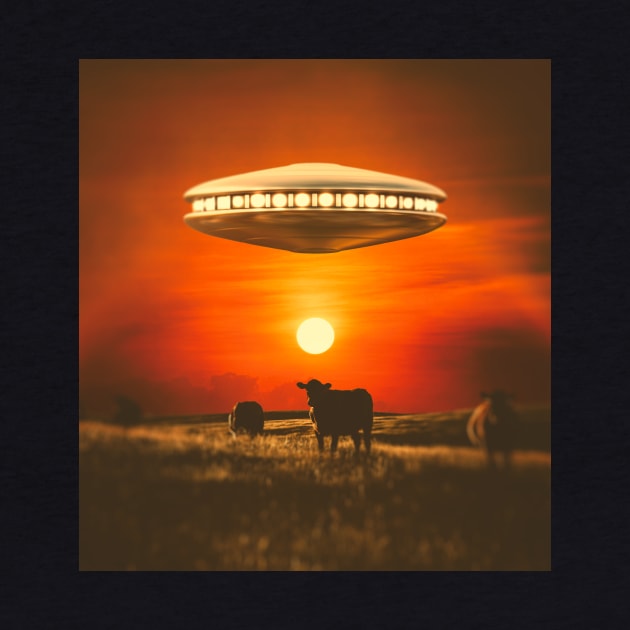 The UFOs are taking our cows by karadoc